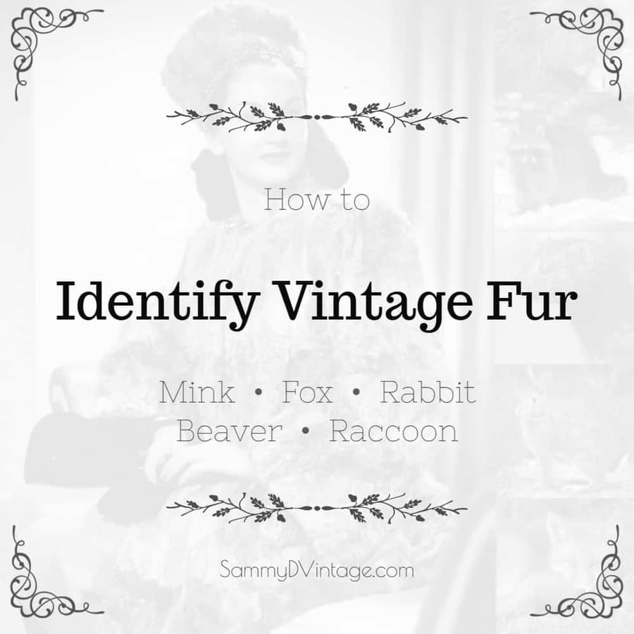 How to Identify Vintage Mink, Fox, Rabbit, Beaver, Raccoon & Chinchilla Fur 9