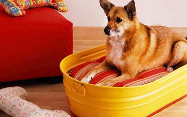 Adorable DIY Dog Beds to Keep Your Pup Comfy (On a Budget) 9