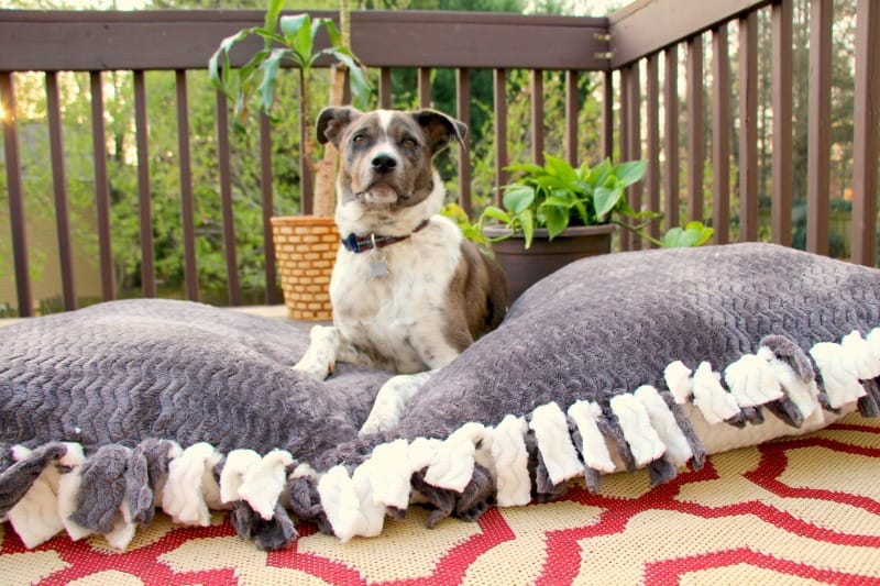 Adorable DIY Dog Beds to Keep Your Pup Comfy (On a Budget) 13
