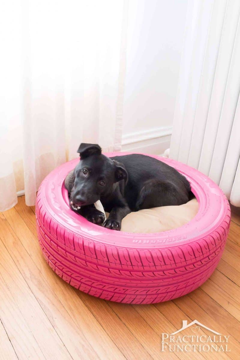 Adorable DIY Dog Beds to Keep Your Pup Comfy (On a Budget) 11
