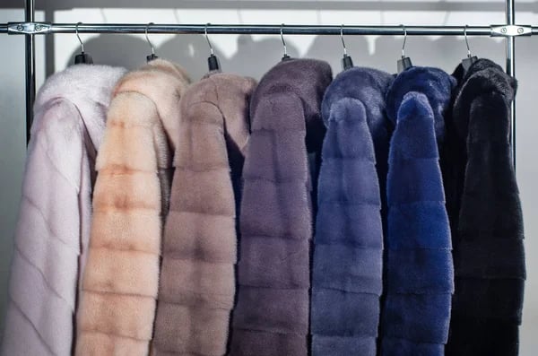 A number of dyed mink fur coats for catalog, different colors close-up — Stock Photo, Image