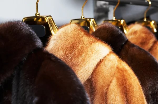 Rich female fur coats — Stock Photo, Image