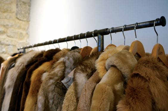 Inherited an Old Fur Coat? Here's What You Can Do 23