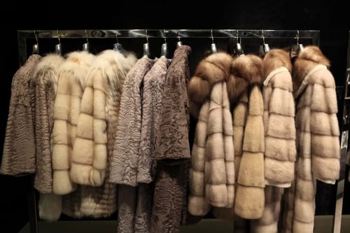 What Exactly is Mink Fur? (Animal vs. Ethically-Sourced) 9