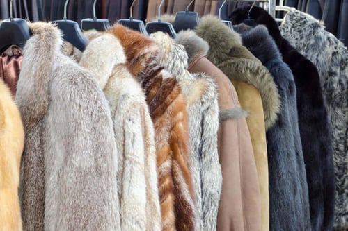 How Much Does a Mink Fur Coat Cost? 7