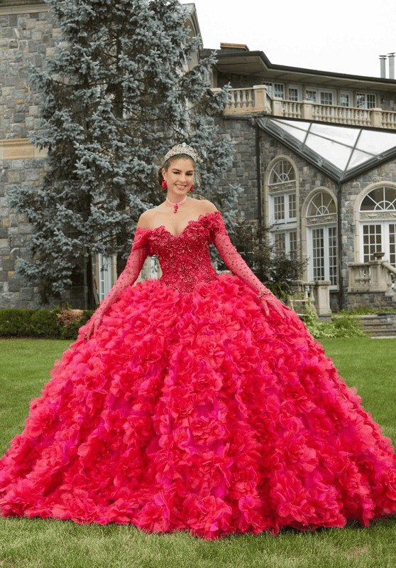 Elevate Your Celebration with Luxurious Quinceanera Dresses 25