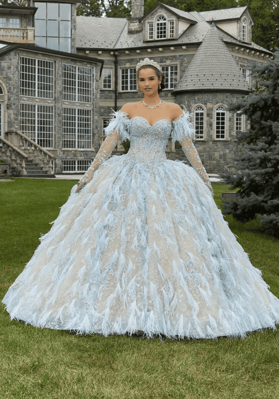 Elevate Your Celebration with Luxurious Quinceanera Dresses 27
